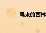 风来的西林4（风来的西林4）