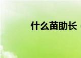 什么苗助长（揠苗助长的由来）
