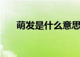 萌发是什么意思（词语萌发什么意思）