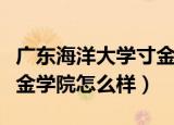 广东海洋大学寸金学院图片（广东海洋大学寸金学院怎么样）