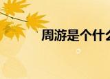周游是个什么梗（周游的意思）