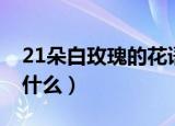 21朵白玫瑰的花语是什么（21朵白玫瑰代表什么）