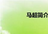 马超简介（马超的介绍）