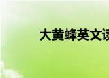 大黄蜂英文读音（大黄蜂 英文）