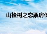 山楂树之恋票房低吗（山楂树之恋 票房）