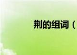 荆的组词（荆的组词有哪些）