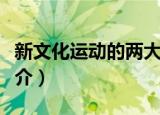 新文化运动的两大口号是什么（新文化运动简介）