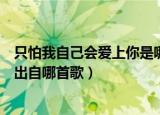 只怕我自己会爱上你是哪首歌的歌词（只怕我自己会爱上你出自哪首歌）