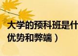 大学的预科班是什么意思（大学预科班有什么优势和弊端）