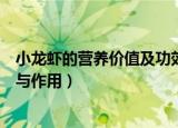 小龙虾的营养价值及功效与作用（小龙虾的营养价值和功效与作用）