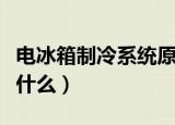 电冰箱制冷系统原理（电冰箱制冷系统原理是什么）