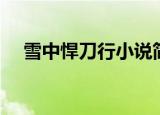 雪中悍刀行小说简介（雪中悍刀行简介）
