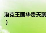 洛克王国华贵天鹅怎么得（洛克王国华贵天鹅）