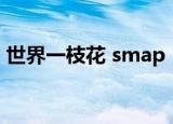 世界一枝花 smap（smap 世界上唯一的花）