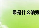 录是什么偏旁（录的偏旁是什么）