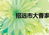 招远市大曹家扫黄（招远市邮编）