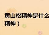 黄山松精神是什么时候提出的（黄山松是什么精神）