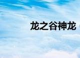 龙之谷神龙（龙之谷神奇四侠）