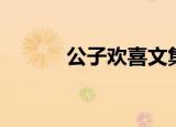 公子欢喜文集（公子欢喜文集）