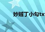 妙贼丁小勾txt下载（妙贼丁小勾）
