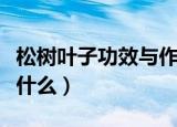 松树叶子功效与作用（松树叶子功效与作用是什么）