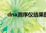 dna测序仪结果图（dna测序仪多少钱）