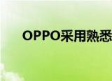  OPPO采用熟悉的双芯片耐力系统设计