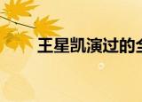 王星凯演过的全部电视剧（王星凯）