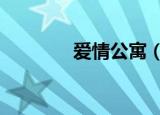 爱情公寓（爱情公寓3海报）