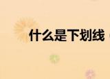什么是下划线（下划线是什么意思）