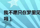 我不愿只在梦里见到你是什么歌（有完整歌词吗）