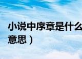 小说中序章是什么啊什么意思（小说中序章的意思）