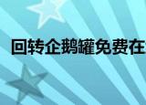 回转企鹅罐免费在线观看（回转企鹅罐op）