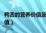 鸭舌的营养价值及功效与作用（鸭舌的营养价值）