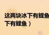 这两块冰下有鲤鱼猜一个四字成语（这两块冰下有鲤鱼）