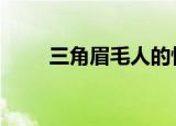 三角眉毛人的性格（sjm名人带路）