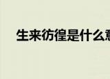 生来彷徨是什么意思（生来彷徨的解释）