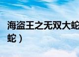 海盗王之无双大蛇的黄金岛（海盗王之无双大蛇）