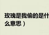 玫瑰是我偷的是什么梗（玫瑰是我偷的梗是什么意思）