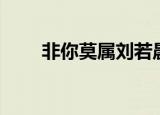 非你莫属刘若晨（丁一晨非你莫属）