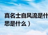 真名士自风流是什么意思（真名士自风流的意思是什么）