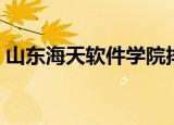 山东海天软件学院排名（山东海天软件学院）