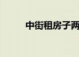 中街租房子两室一厅（中街租房）