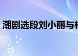 潮剧选段刘小丽与林武燕（潮剧选段刘小丽）