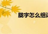 胧字怎么组词（胧字如何组词）