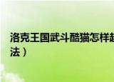 洛克王国武斗酷猫怎样超进化（洛克王国武斗酷猫超进化方法）