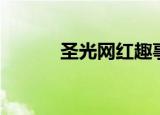 圣光网红趣事百科（圣光血盟）