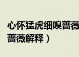 心怀猛虎细嗅蔷薇是什么意思（心怀猛虎细嗅蔷薇解释）