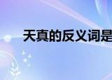 天真的反义词是（天真的反义词介绍）