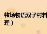 牧场物语双子村料理大赛（牧场物语双子村料理）